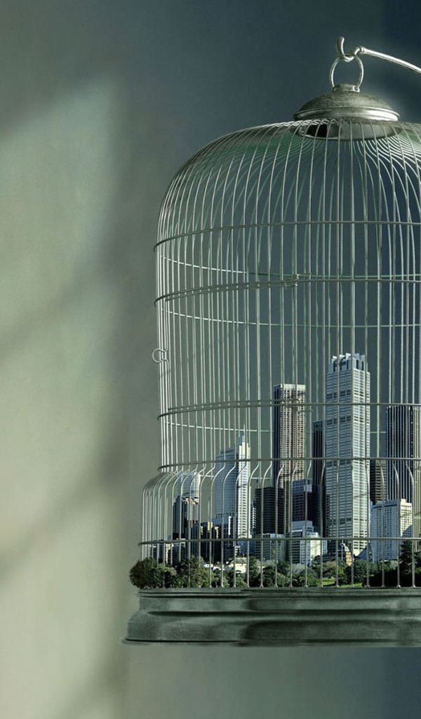 Город в клетке