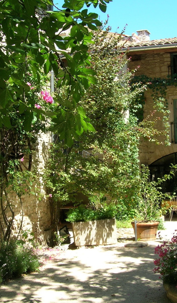 Французский городской двор