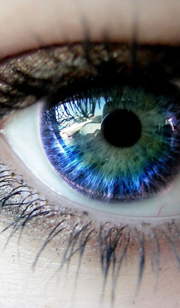 Голубой глаз с отражением