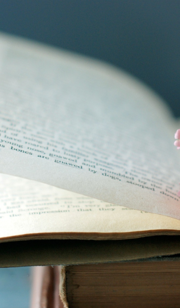 Цветок на книге