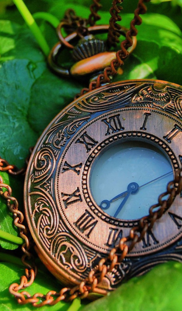 Карманные часы с цепочкой