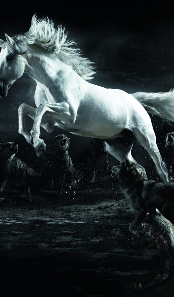 Тема лошади