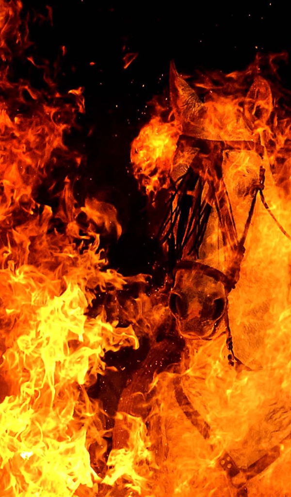 Год огненной лошади