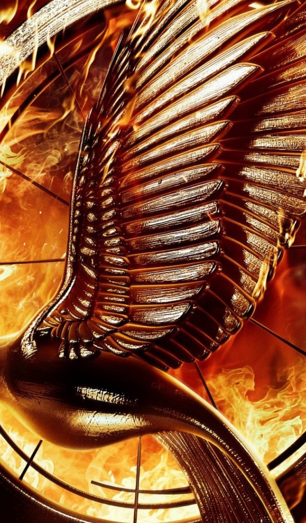 Горящий круг