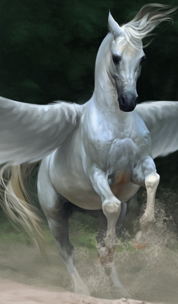 Летающие лошади