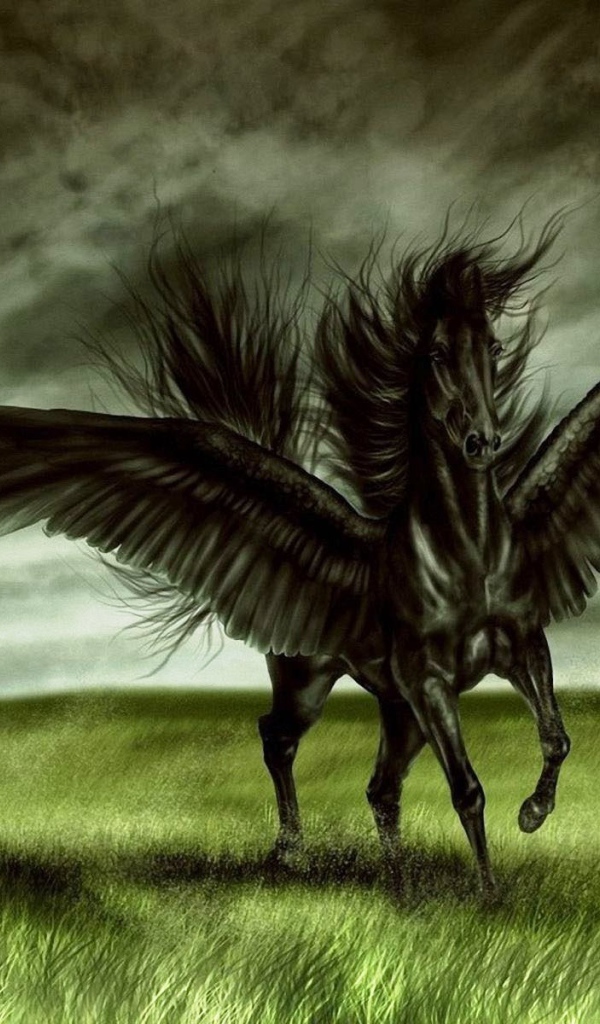 Лошадь пегас