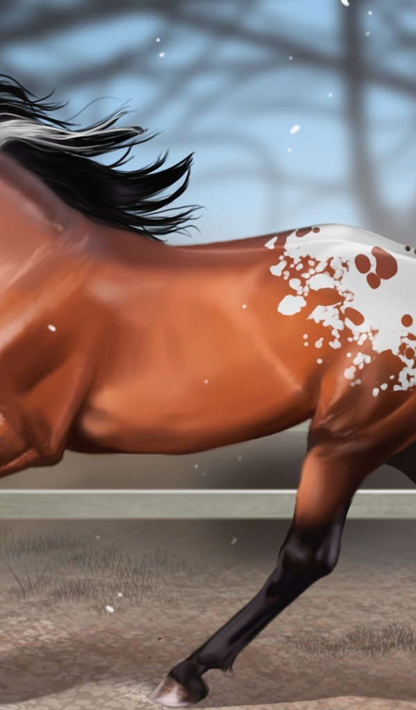 Мустанг лошадь