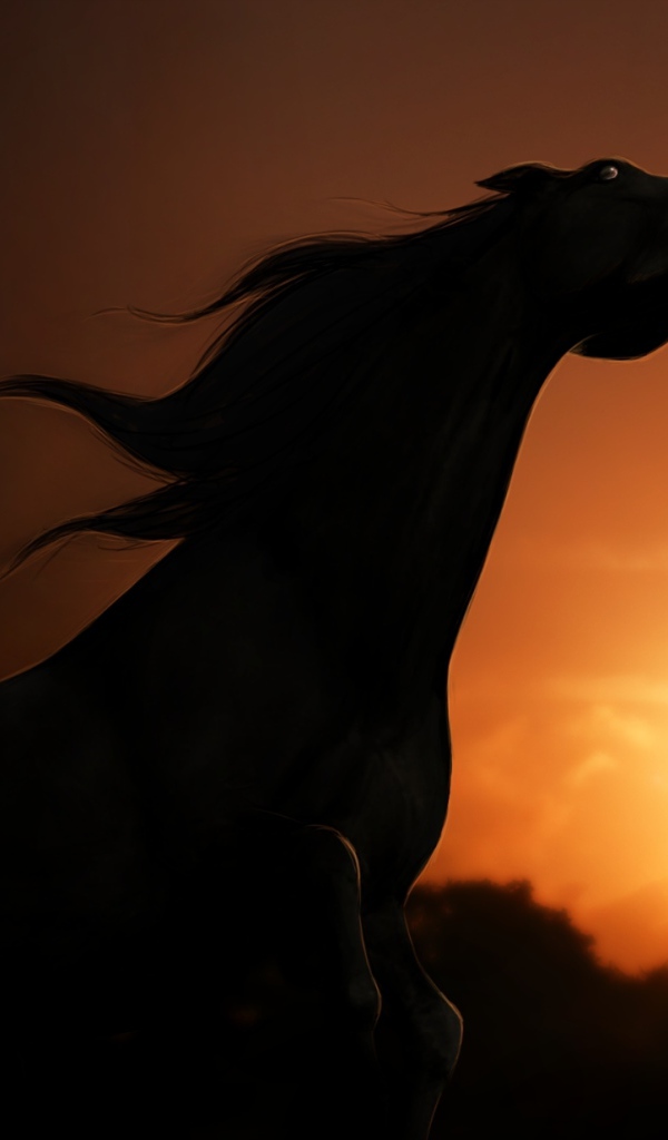 Силуэт лошади