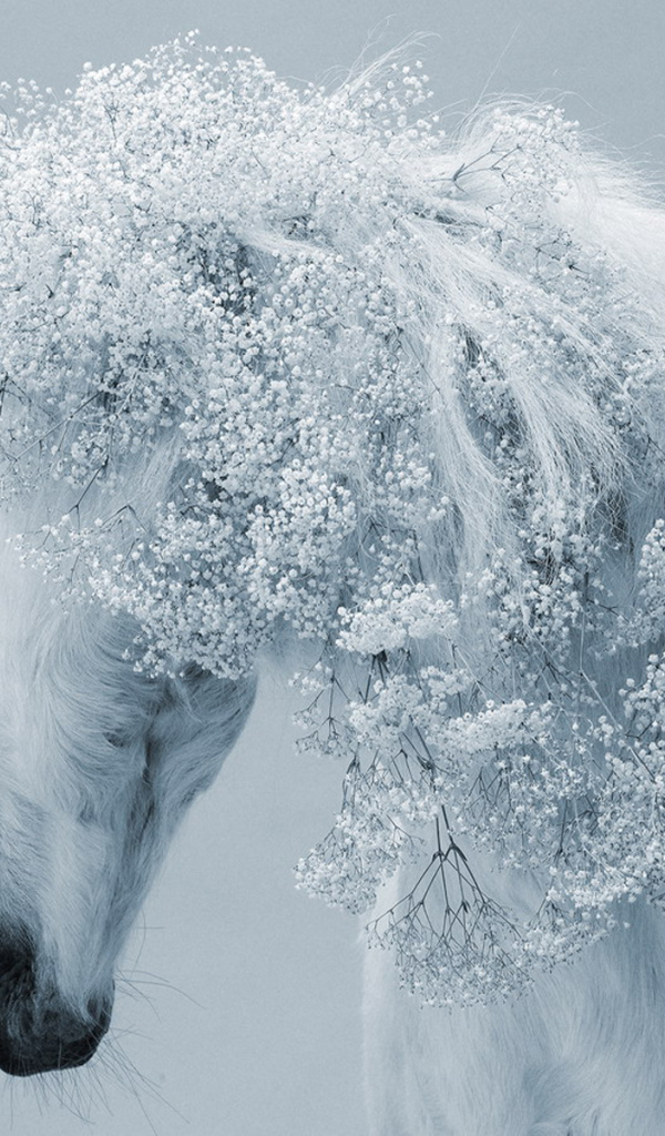 Зимняя лошадь