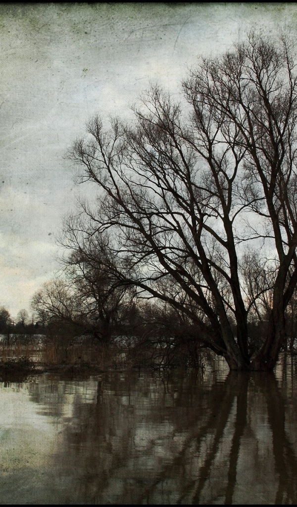 Картина Весенний разлив реки