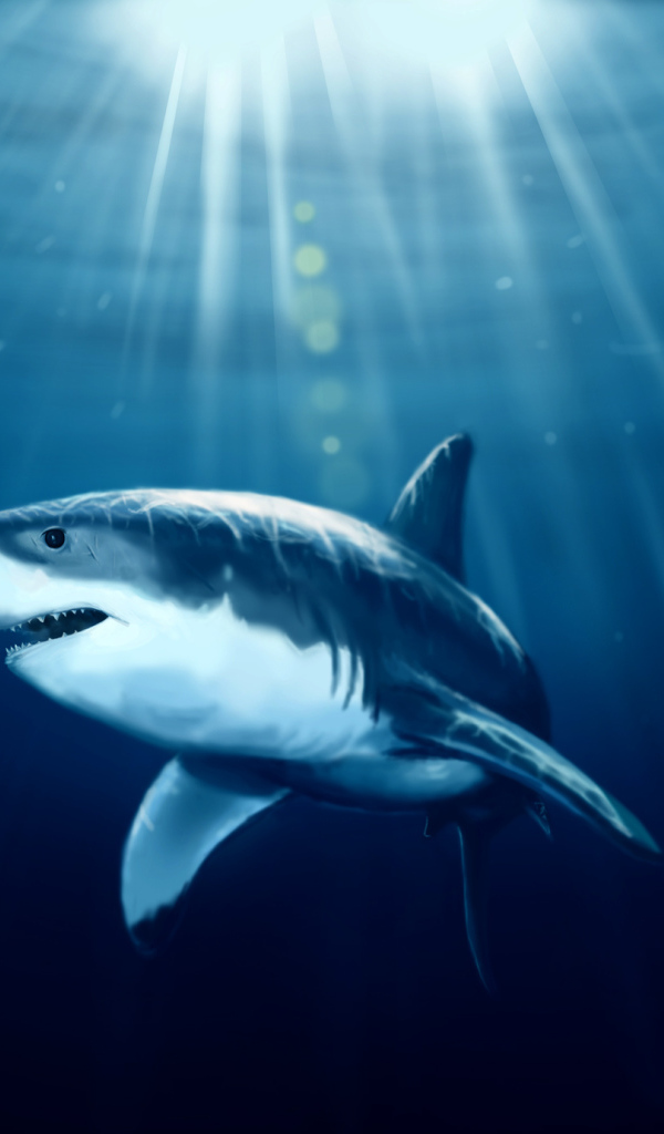 Акула в лучах солнца