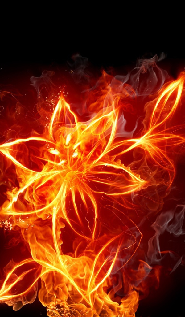 Фантазия Огненный цветок