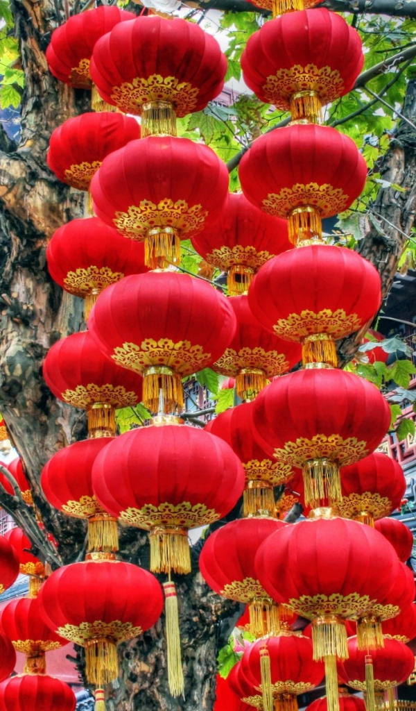 Красные китайские фонарики