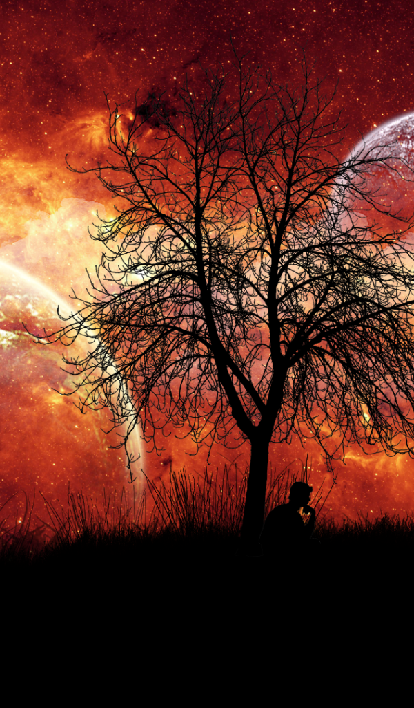 Человек под фантастическим небом