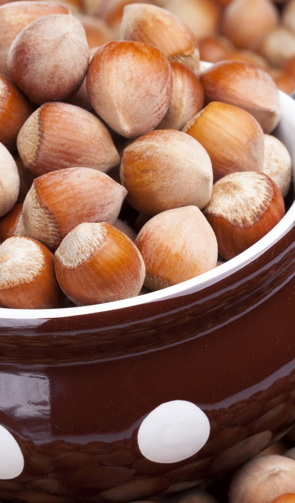 Лесные орешки