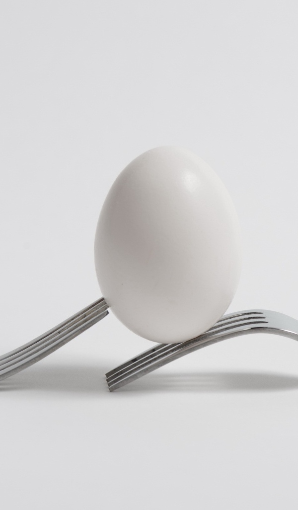 Яйцо и вилки