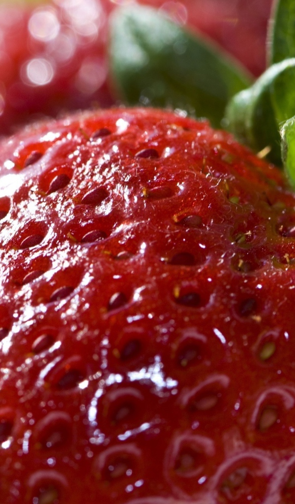 Большая клубника