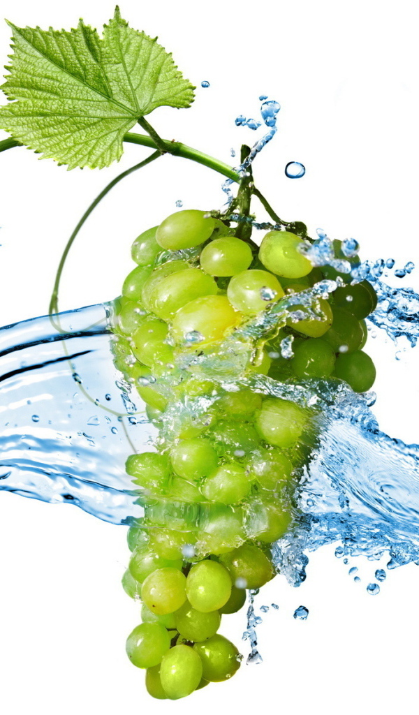 Bunch of grapes and water splashes
