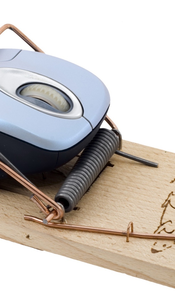 Мышка попалась