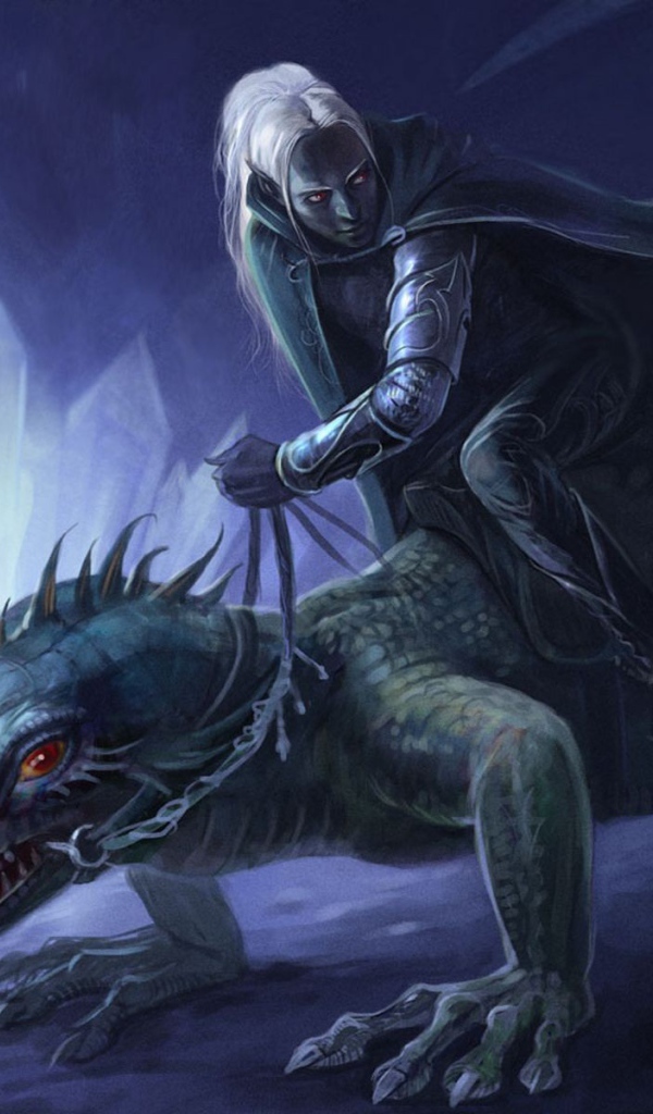 Всадник на драконе из игры