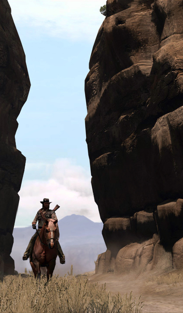 Всадник из видео игры