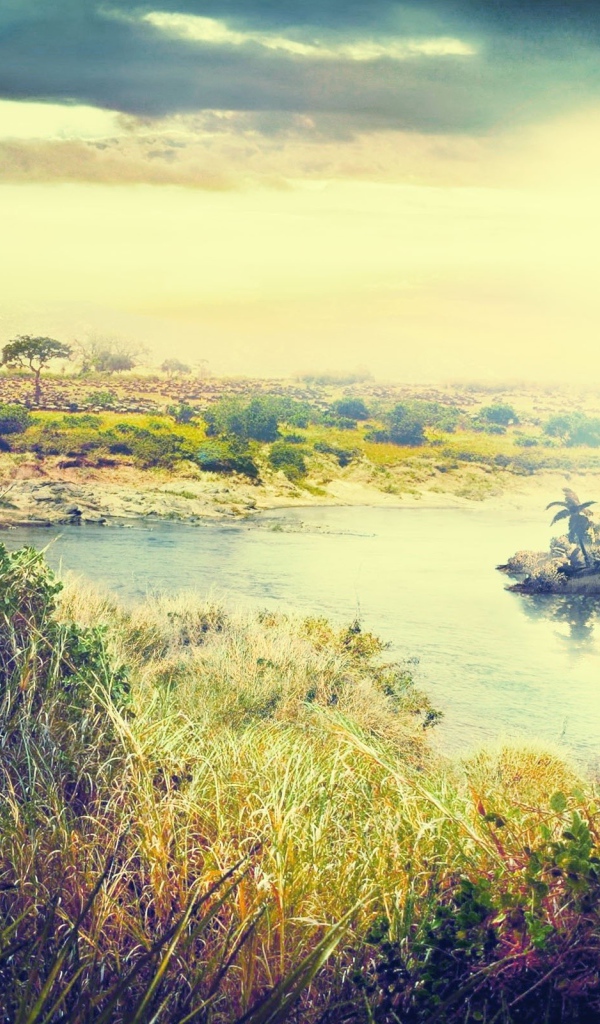 Видео игра Far Gry 3