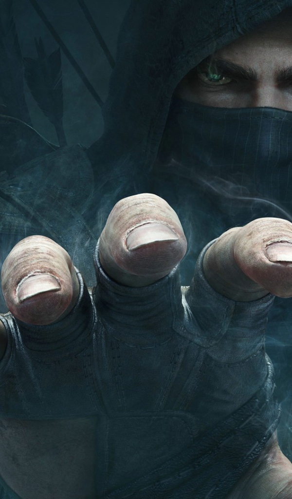 Видео игра Thief 3