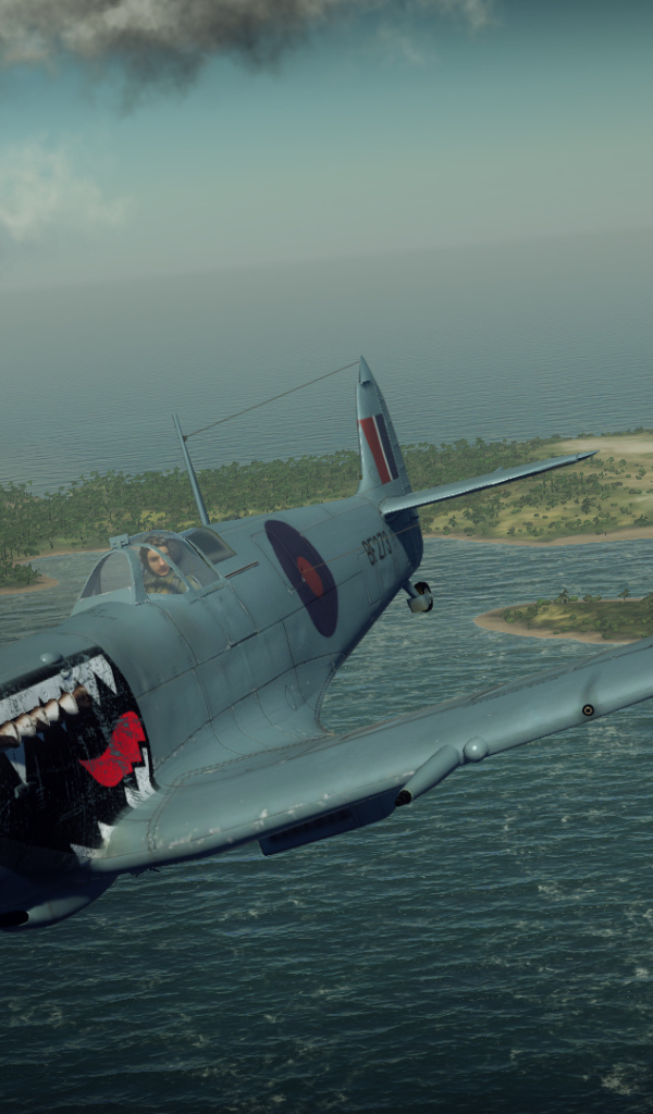 War Thunder военный самолет акула