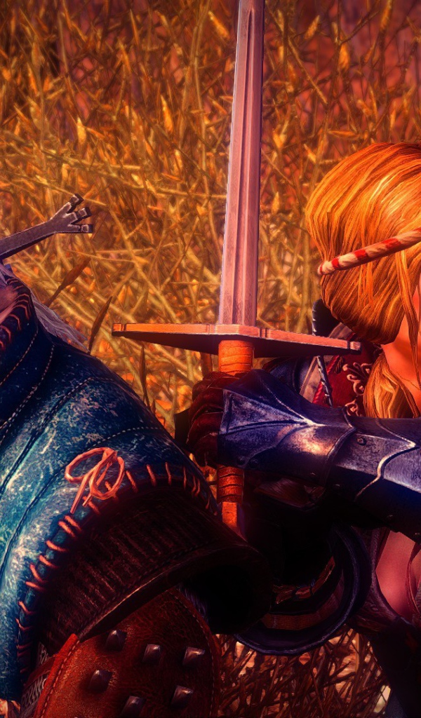 Видео игра Ведьмак 2