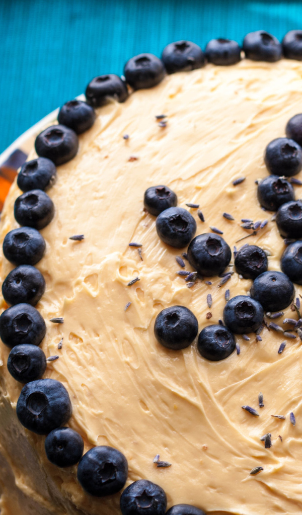 Торт с черникой на день рождения