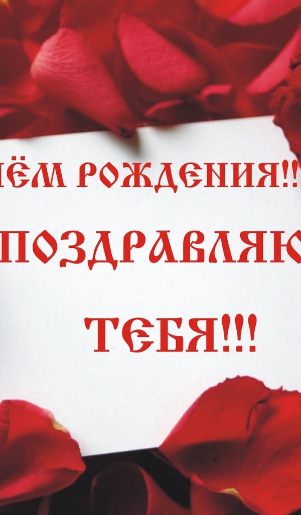 Лепестки роз на день рождения