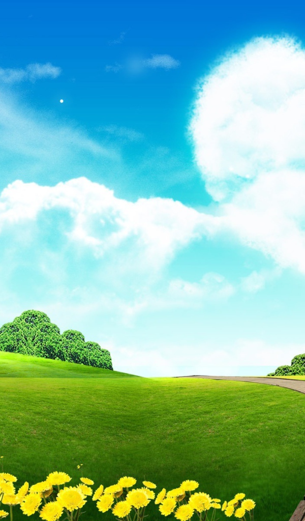 Сердце в небе