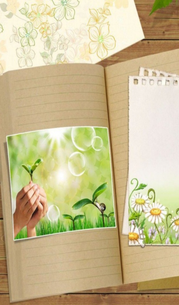 Вегетарианская открытка на день рождения