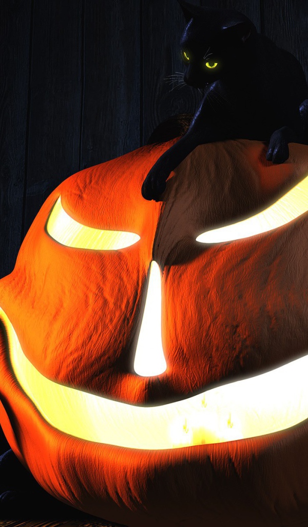 Три черных кота