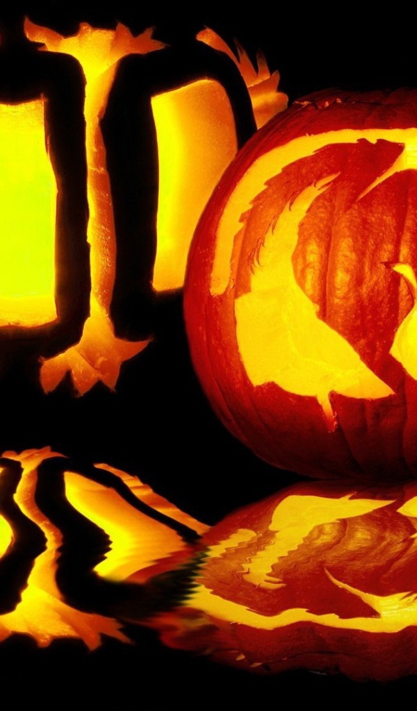 Хэллоуин испуганный кот