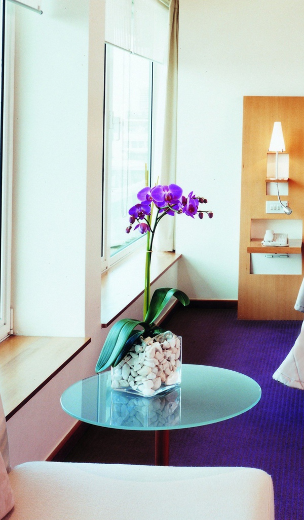 Интерьер спальни с орхидеей