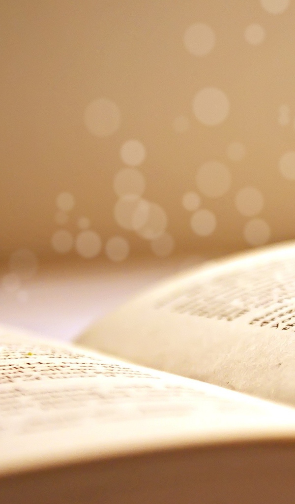 Книга и любовь