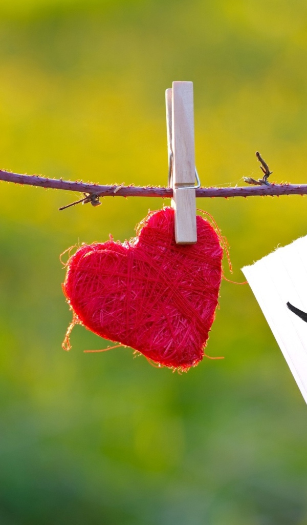 Необыкновенное признание в любви