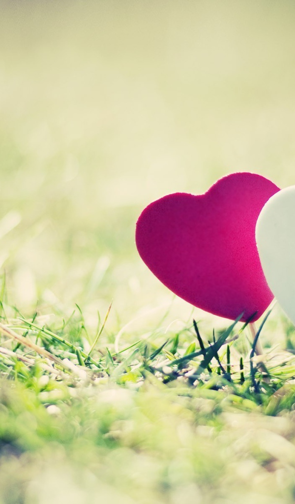 Два сердечка на траве