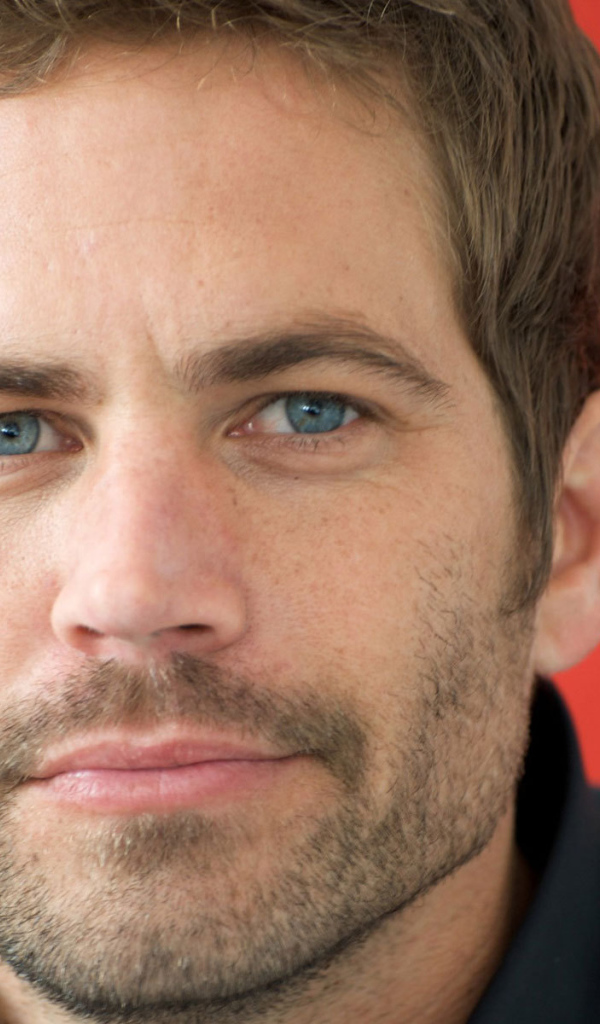 Пол Уокер в телешоу