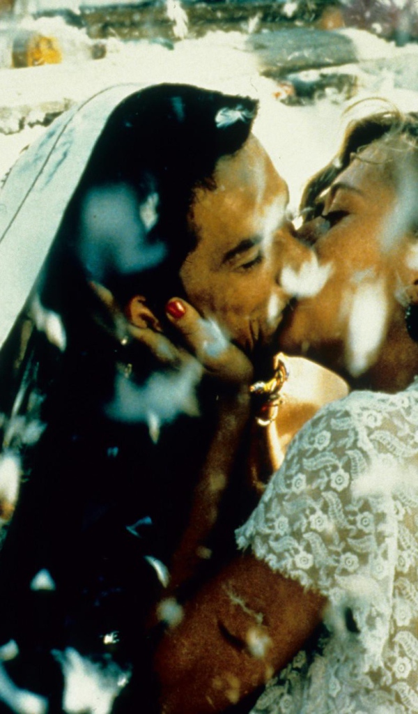 Чёрная кошка, белый кот