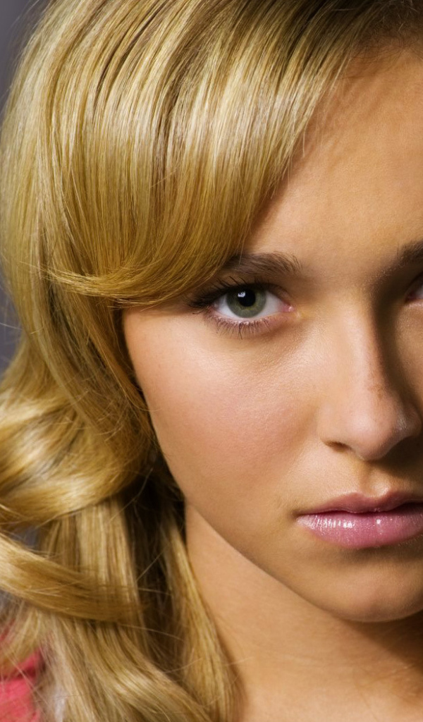 Hayden Panettiere актриса