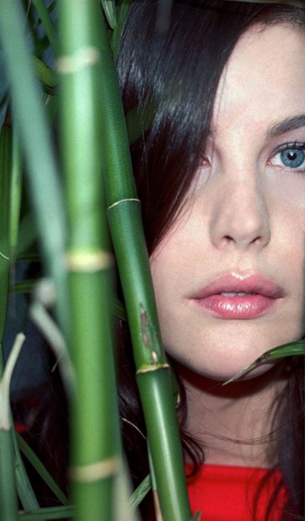 Лив Тайлер в бамбуке