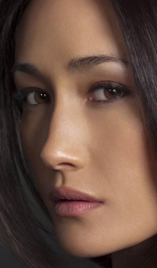 Maggie Q актриса