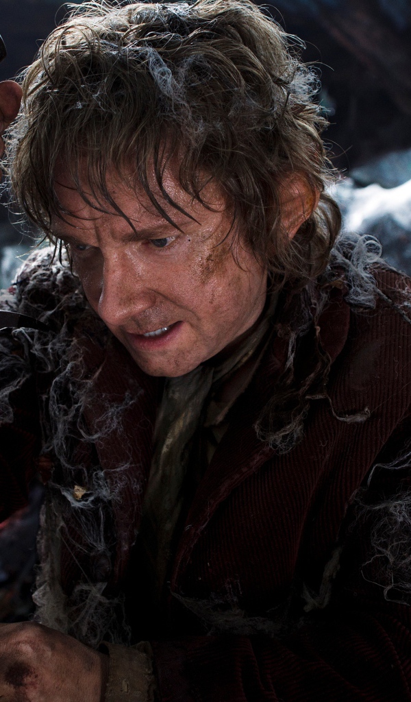 Хоббит: Пустошь Смауга Бильбо 