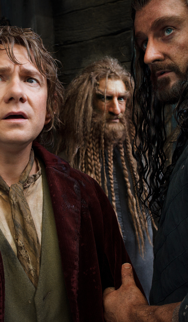 Хоббит: Пустошь Смауга Бильбо и Торин