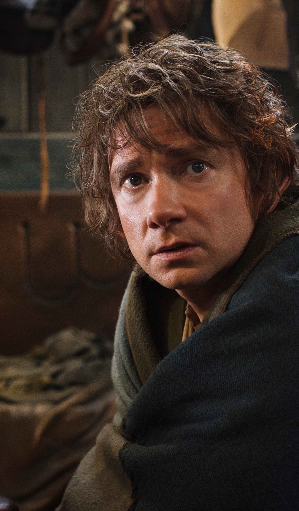 Хоббит: Пустошь Смауга хоббит