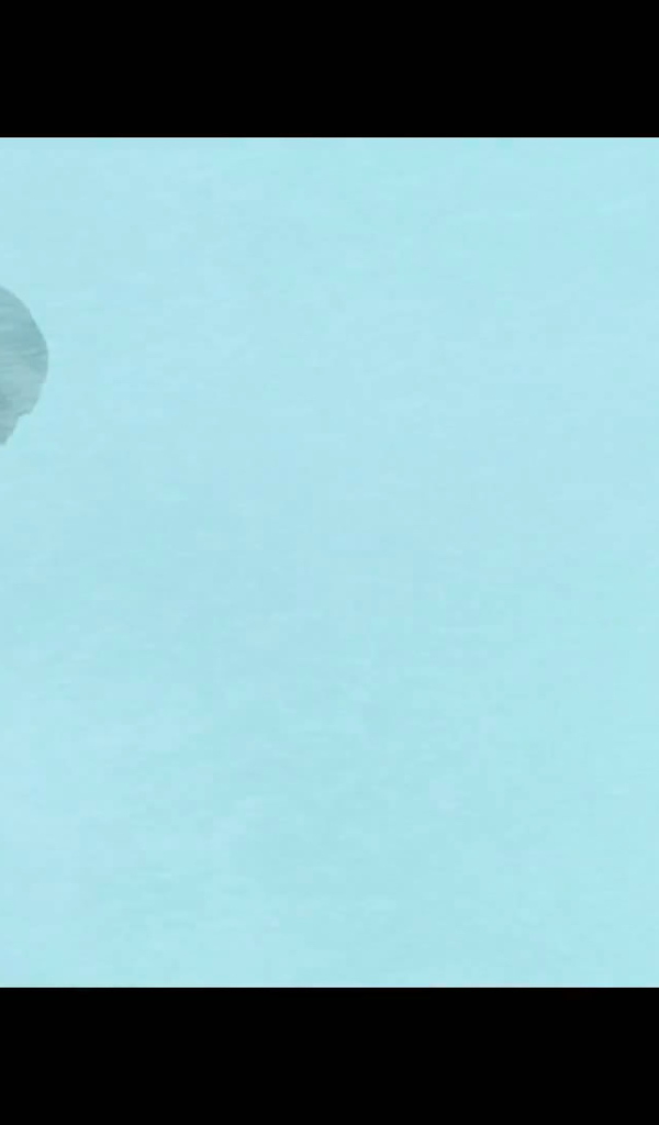 Баста в снегу