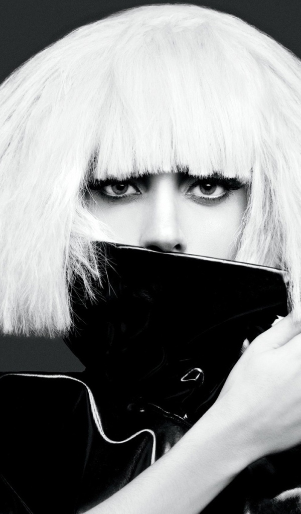 Причёска певицы Леди Гага