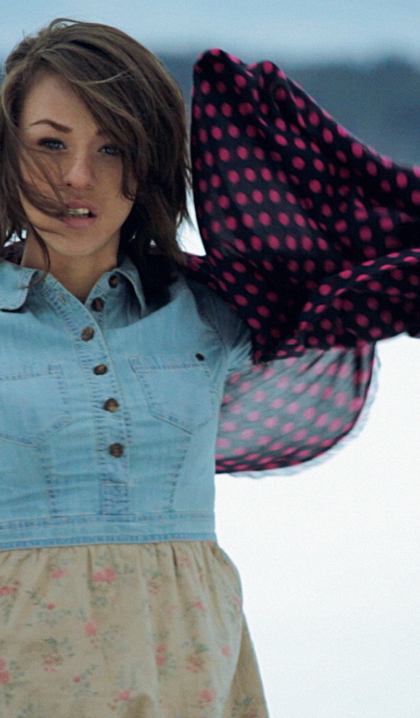 Iowa на фоне снега